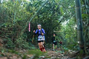 BIB: 
                            <button type="button" onclick="openModal(28025652)" class="btn btn-primary btn-sm float-right btn-popup" data-toggle="modal" data-target=".modal-high-quality">
                        <i class="fas fa-shopping-cart"></i> Add to Cart
                    </button>
                                            <button type="button" onclick="isThisMe(28025652, true)" class="btn btn-success btn-sm float-right btn-popup btn-isme hidden" data-toggle="tooltip" data-placement="bottom" title="นี่คือรูปของคุณใช่ไหม คลิกที่นี่เพื่อเอาเข้าอัลบั้ม">
                        <i class="fas fa-plus"></i> Add to album
                    </button>
                    <button type="button" onclick="isThisMe(28025652, false)" class="btn btn-warning btn-sm float-right btn-popup btn-isnotme hidden">
                        <i class="fas fa-ban"></i> Remove from album
                    </button>